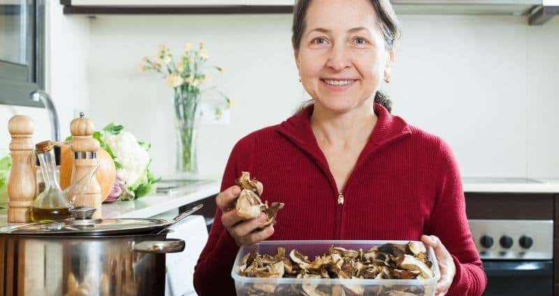 Functional Mushroom Benefits for Women & Their Hormonal Health cover