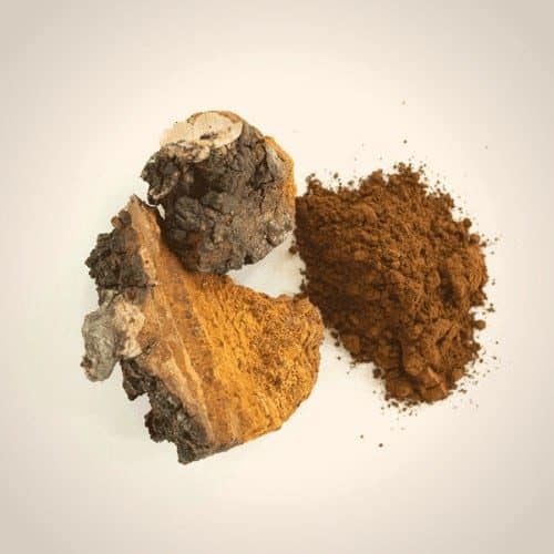 Chaga mushroom coffee 