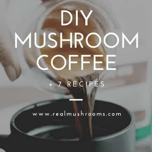 DIY mushroom coffee 