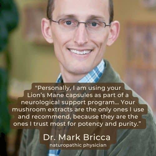 Lion's mane coffee benefits