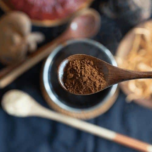 Mushroom coffee powder