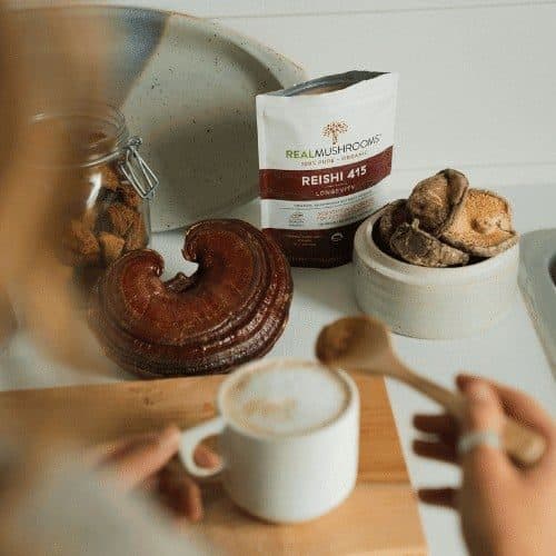 Reishi coffee powder