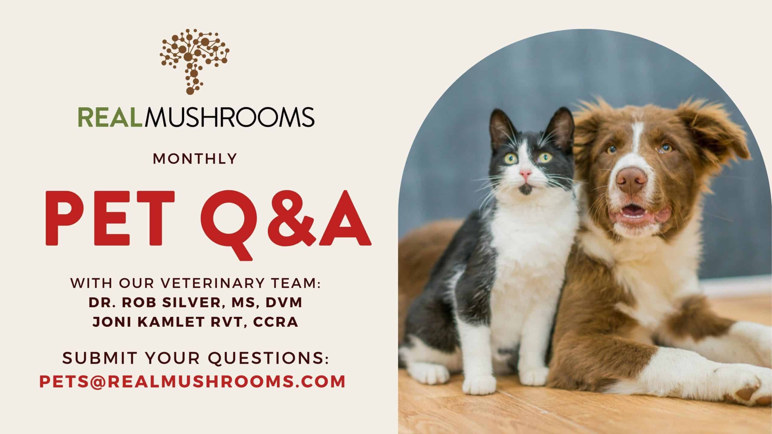 Pet Questions