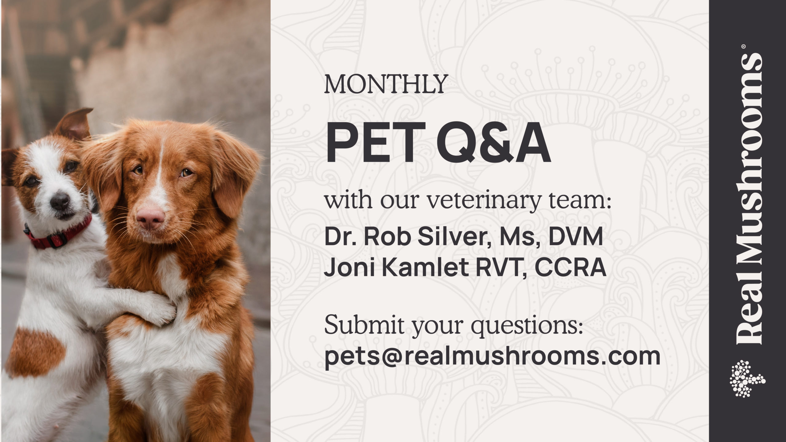 Pet Q&A