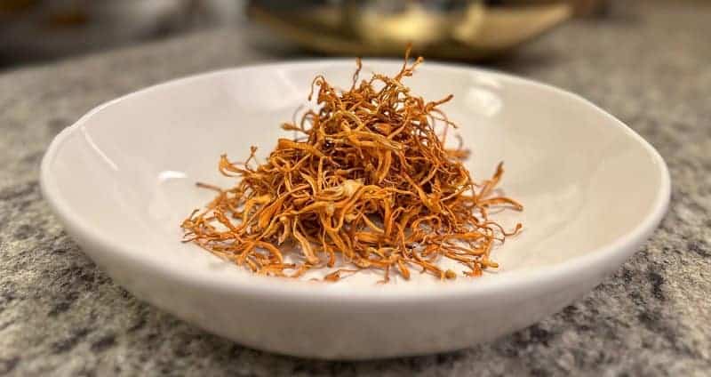 Eating Cordyceps: How to Prep & Cook “The Caterpillar Mushroom” cover