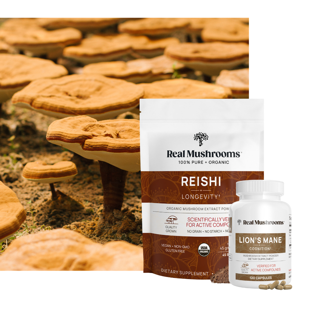 Real Mushrooms - Mushrooms and Products