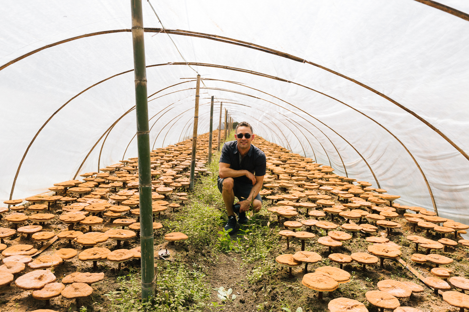 A man crouching in front of a tent full of mushrooms.