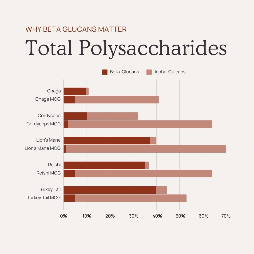 Bar graph titled "why beta glucans matter," comparing percentages of beta-glucans and alpha-glucans in different mushrooms such as chaga, cordyceps, lion's mane, reishi, and turkey tail.