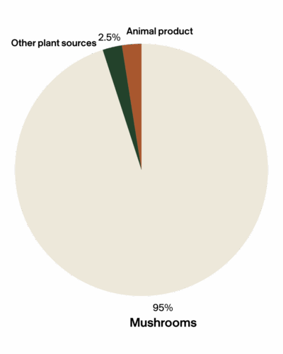 A pie chart showing melatonin sources: mushrooms at 95%, other plant sources at 2.5%, and animal products at 2.5%.